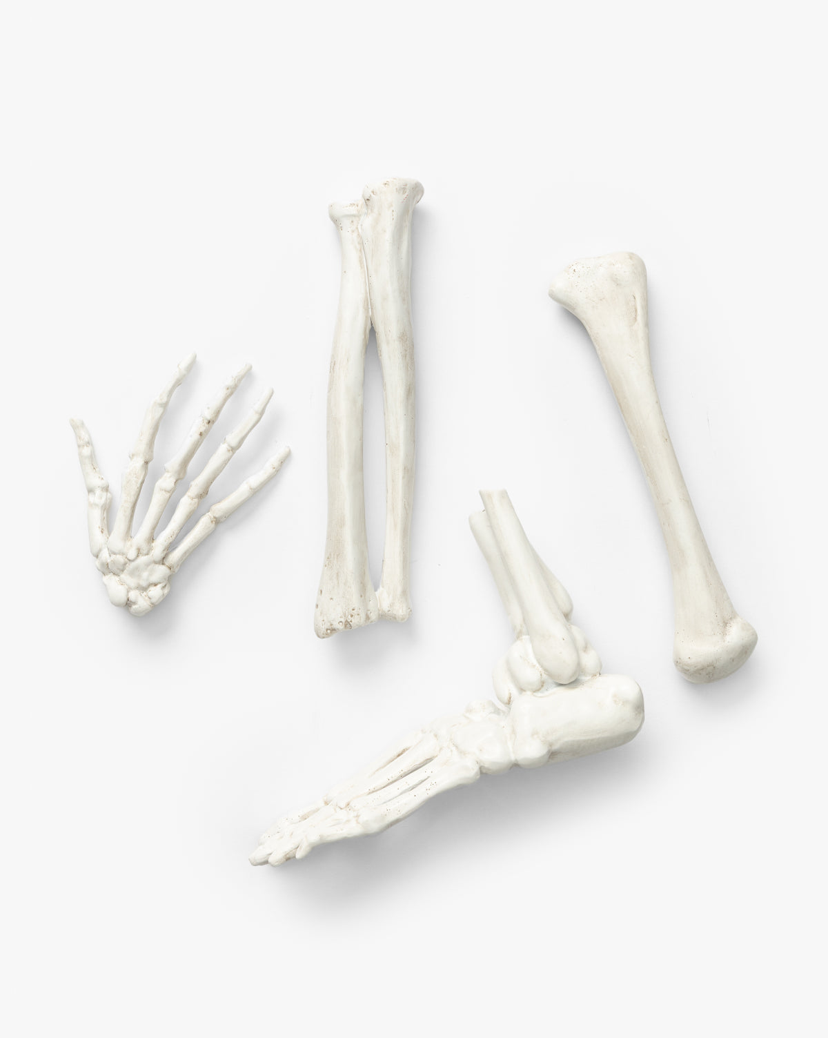 Os de squelette en résine dans un sac à cordon (lot de 4)