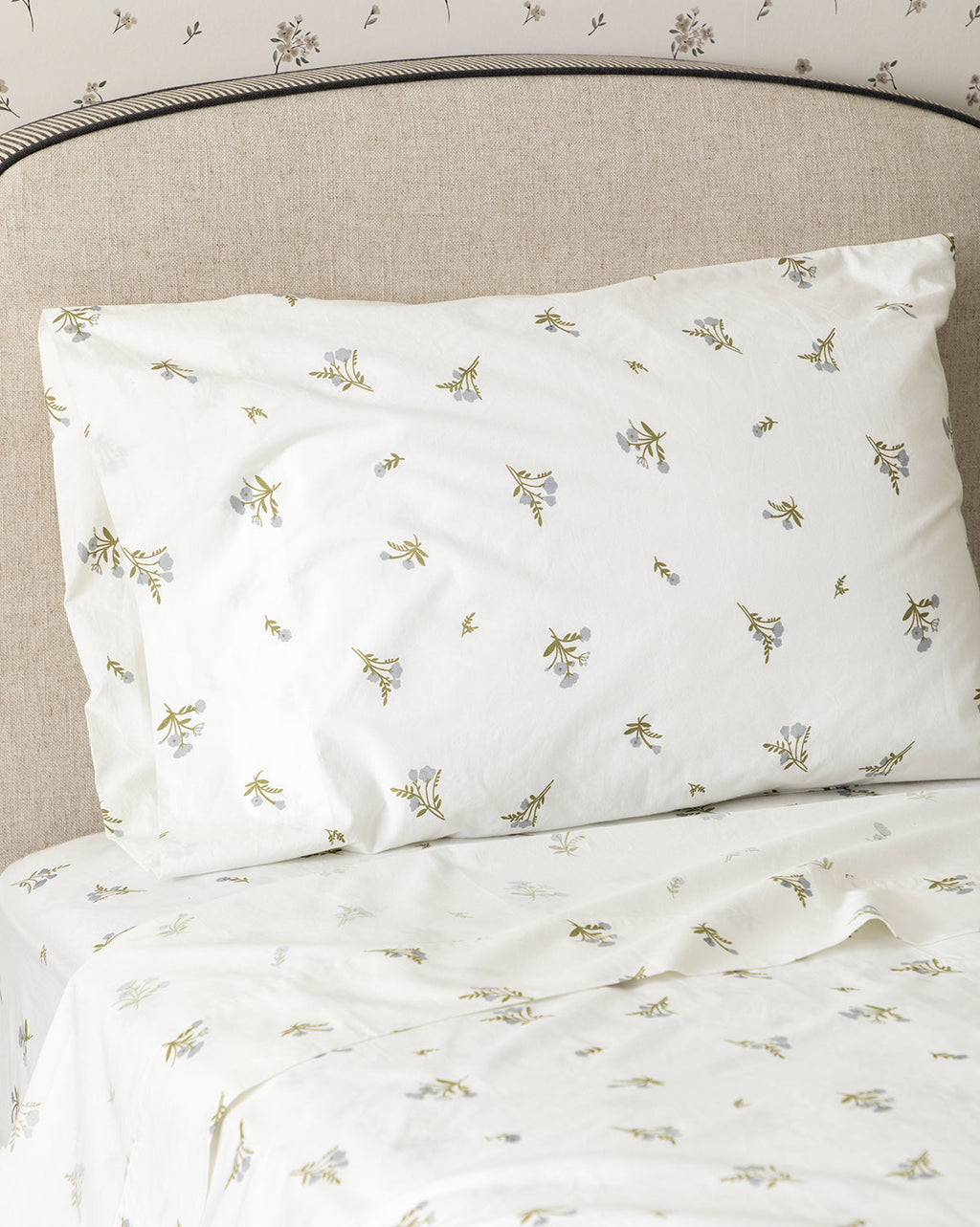 Draps bio Bertram Kids