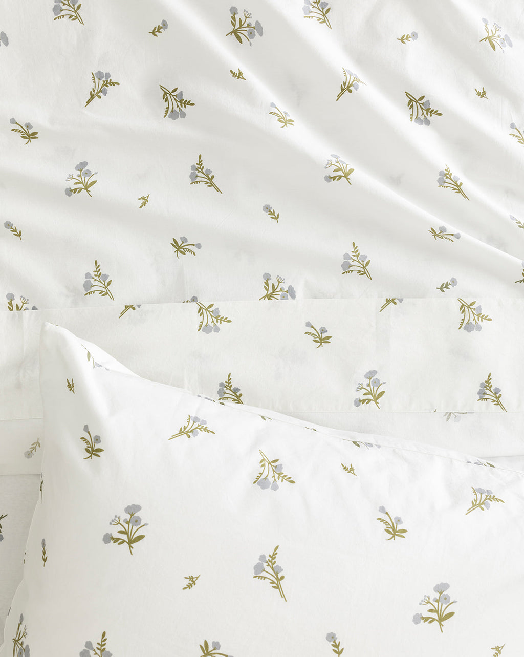 Draps bio Bertram Kids