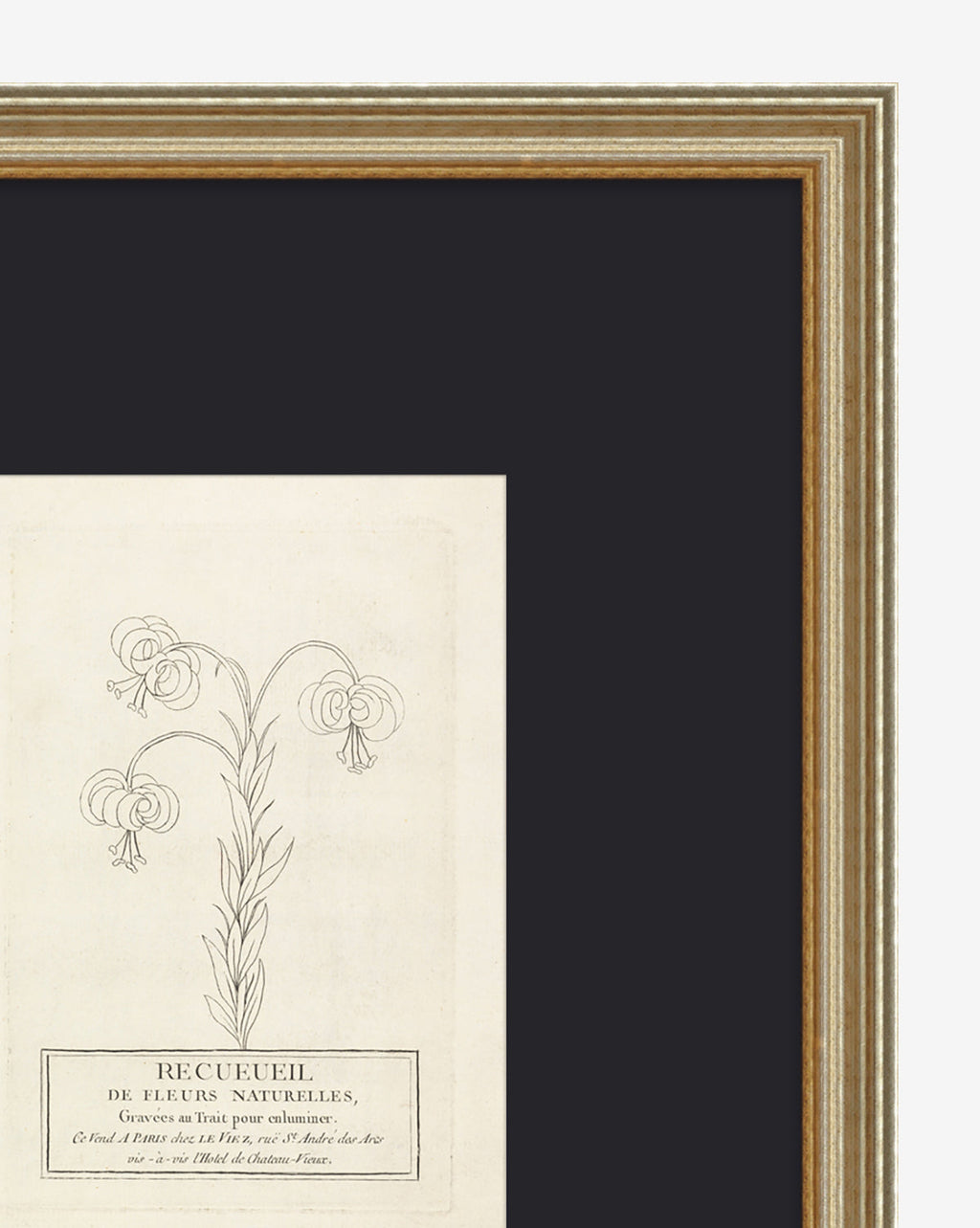 Collection de fleurs françaises