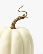 Fausse citrouille blanche crémeuse