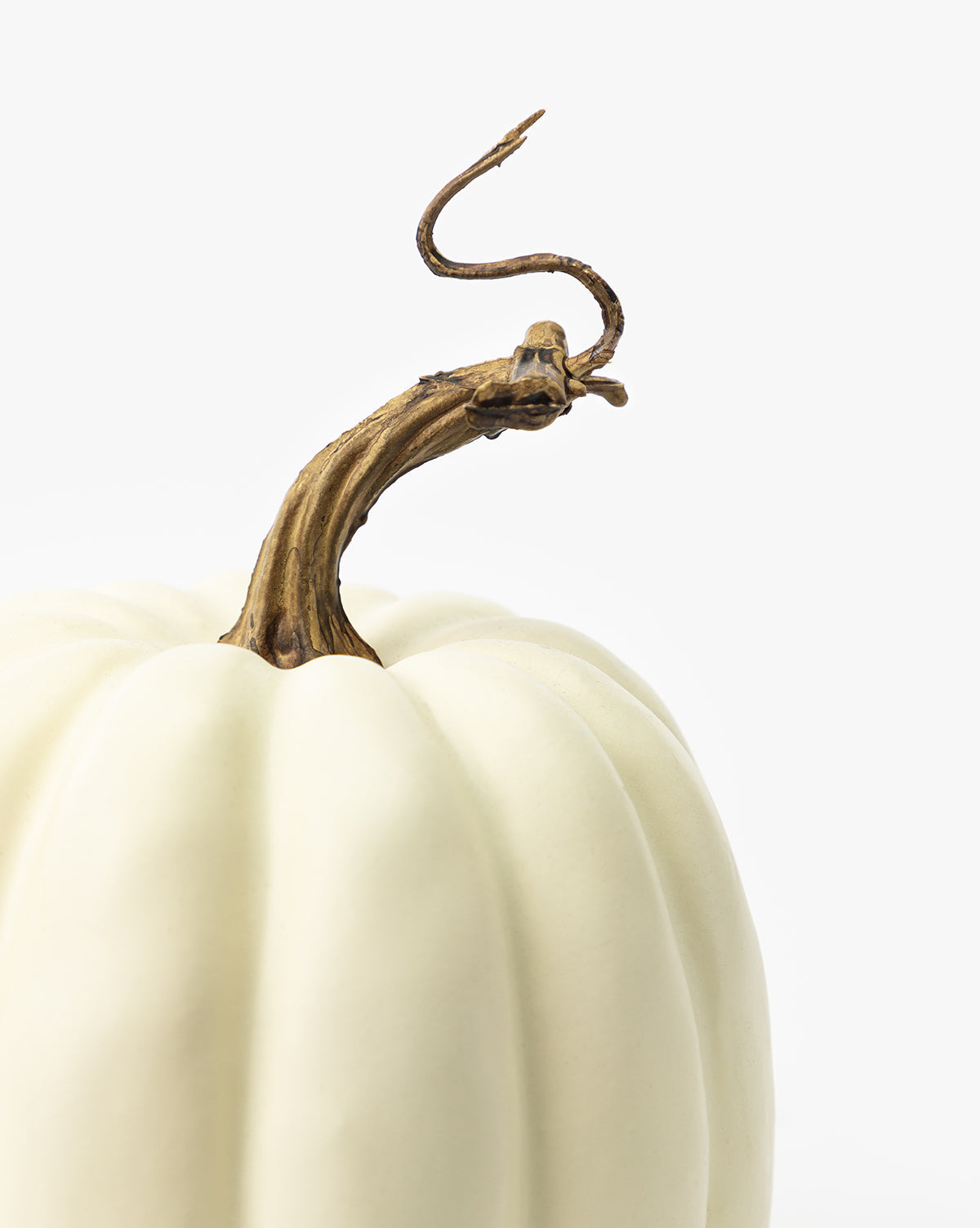 Fausse citrouille blanche crémeuse