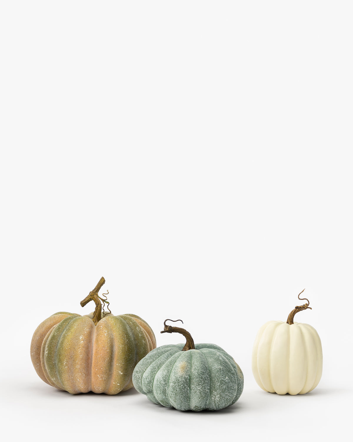 Fausse citrouille blanche crémeuse