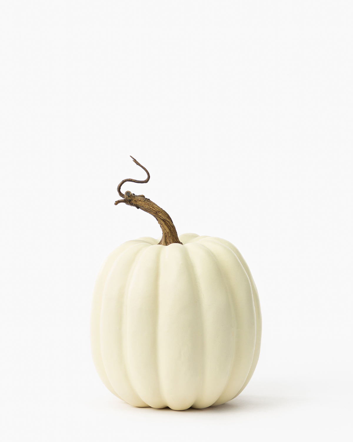 Fausse citrouille blanche crémeuse