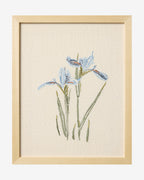 Iris bleu brodé