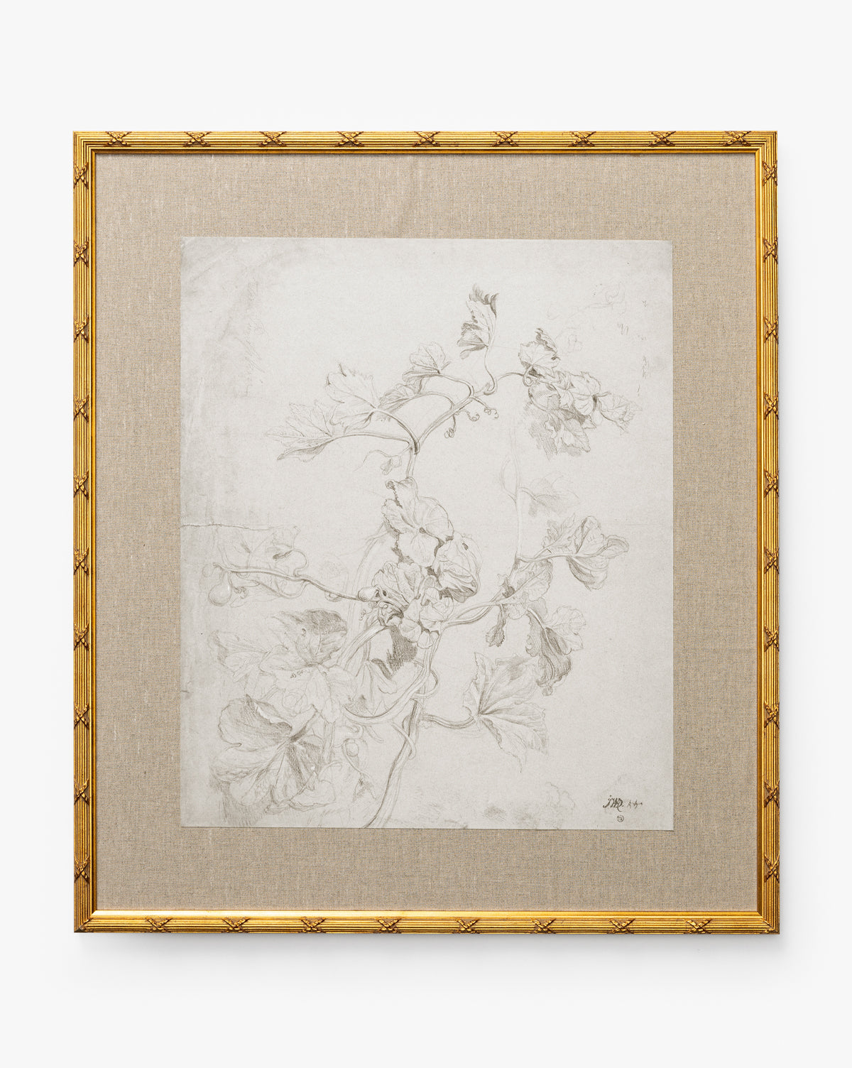 Floral plumeux