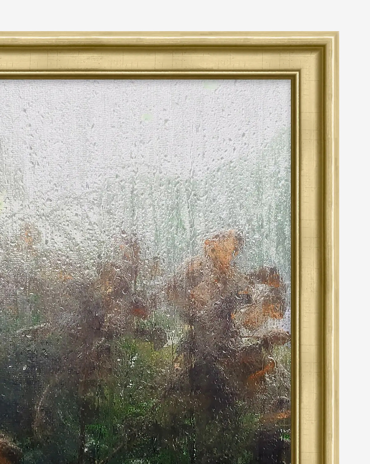 Vue de la rosée du matin par Patrick Wilson