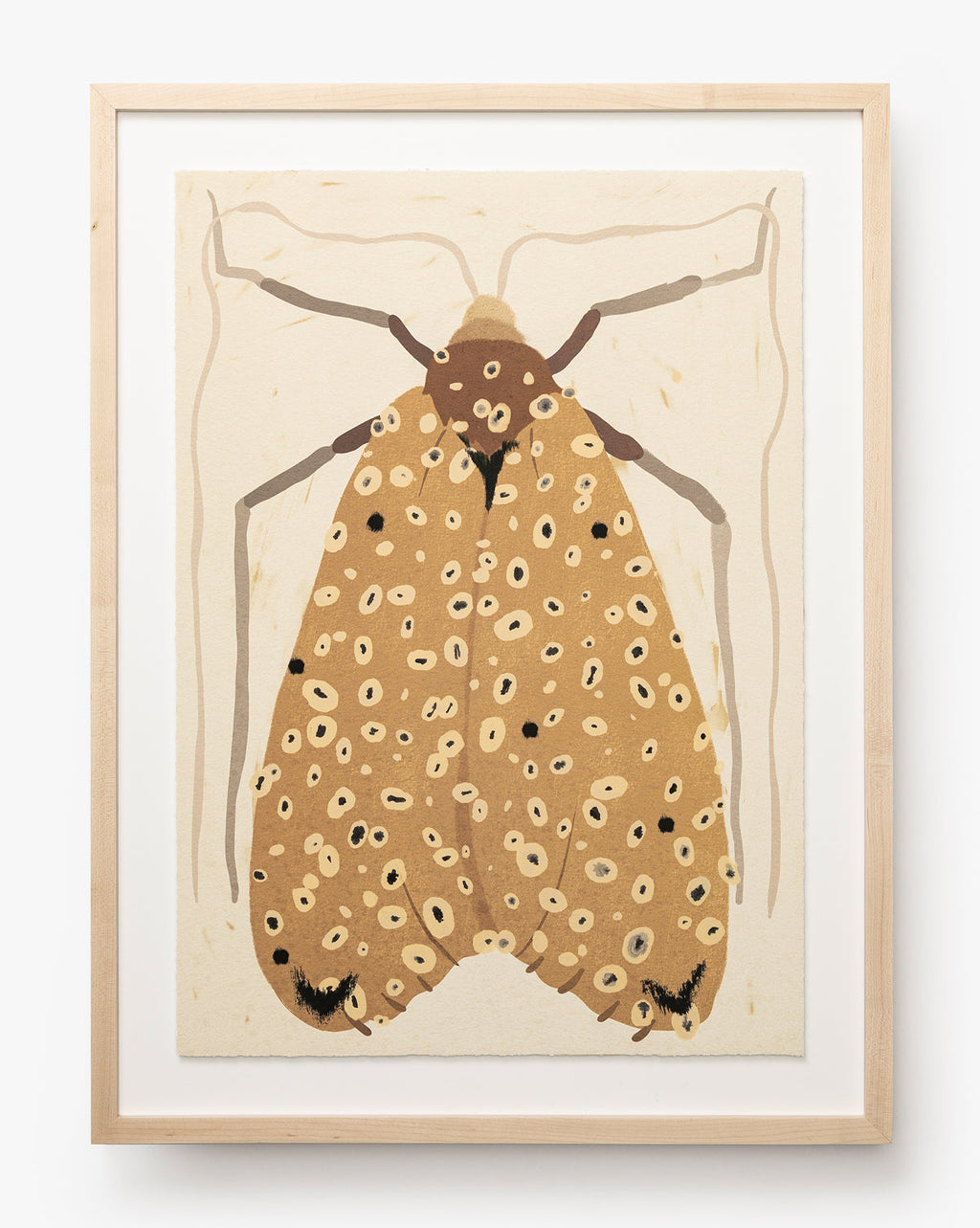Moth IV par Coup d'Esprit