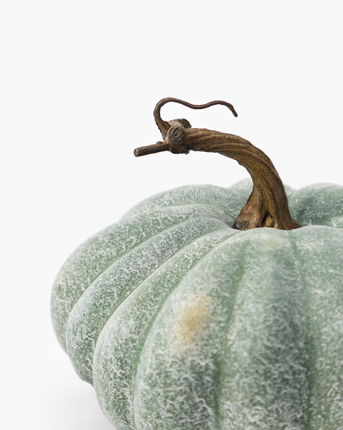 Fausse citrouille verte atténuée