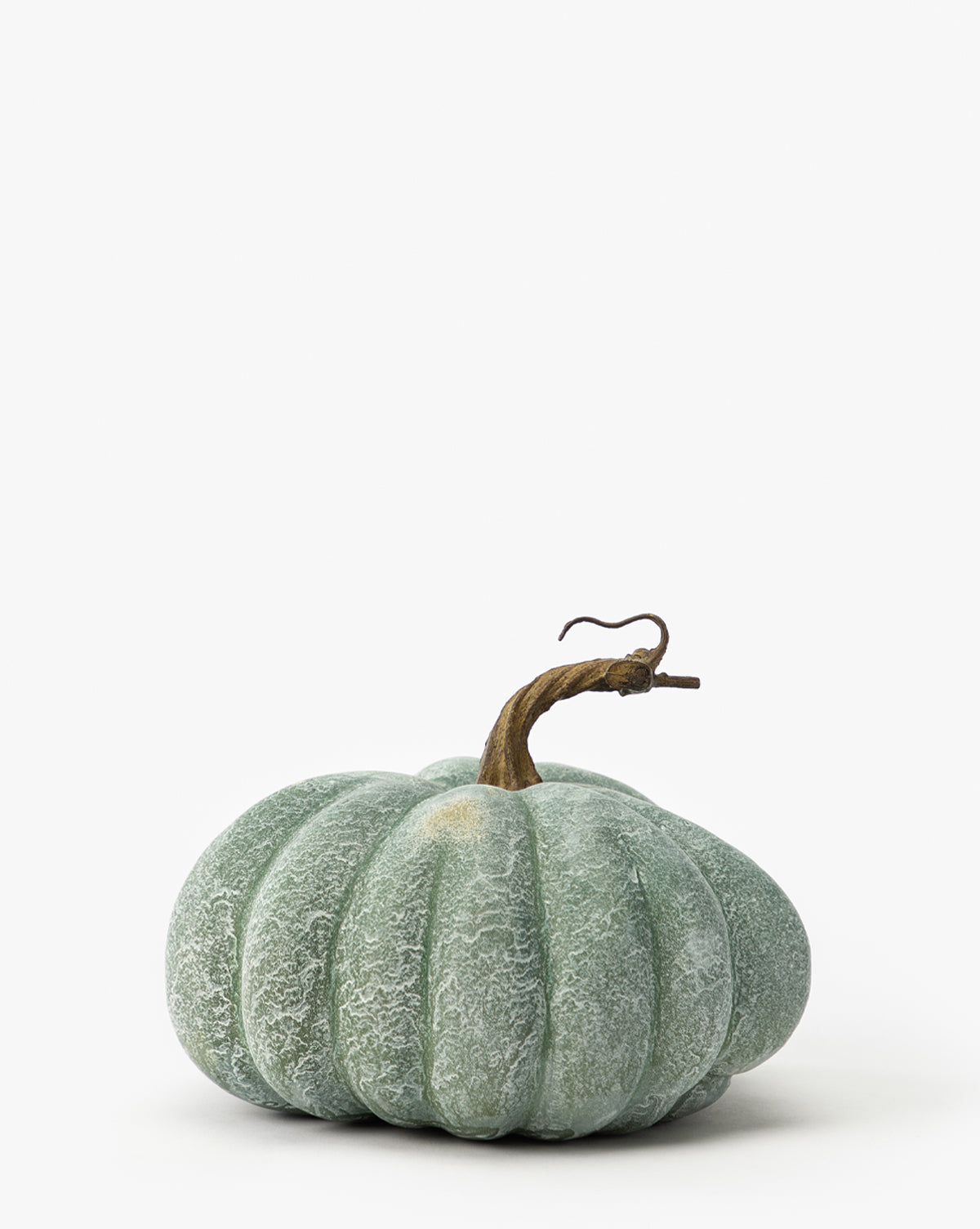 Fausse citrouille verte atténuée