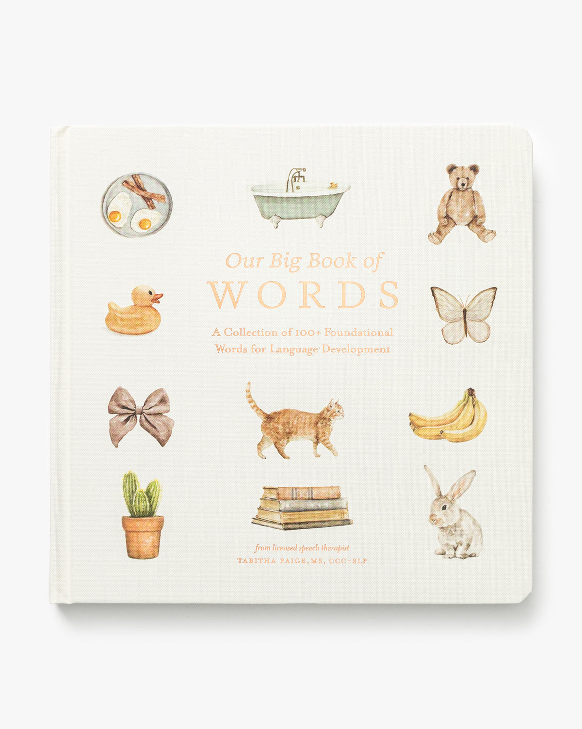 Notre grand livre des premiers mots