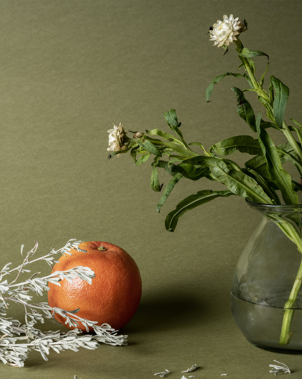 Recharge de parfum d'ambiance Pura x Studio McGee Wild Sage