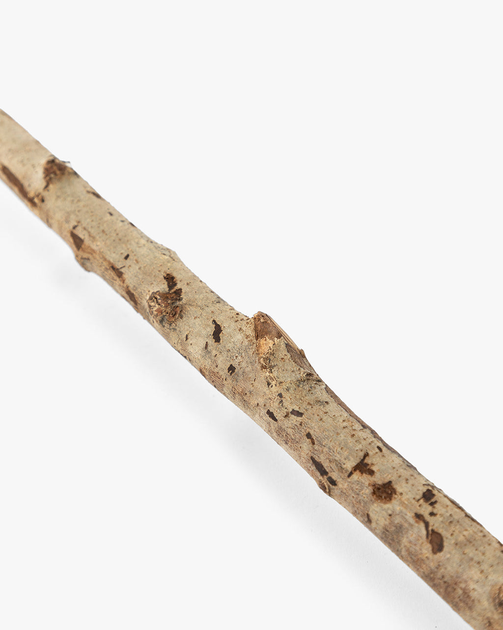Balai de sorcière (lot de 2)